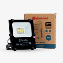 Đèn LED Chiếu pha Rạng Đông CP06 30W 3000K SS