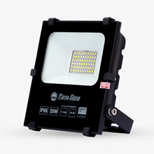 Đèn LED Chiếu pha Rạng Đông CP08 50W 6500K SS