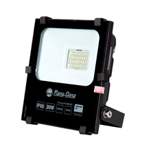 Đèn LED Chiếu pha Rạng Đông CP06 30W 6500K SS